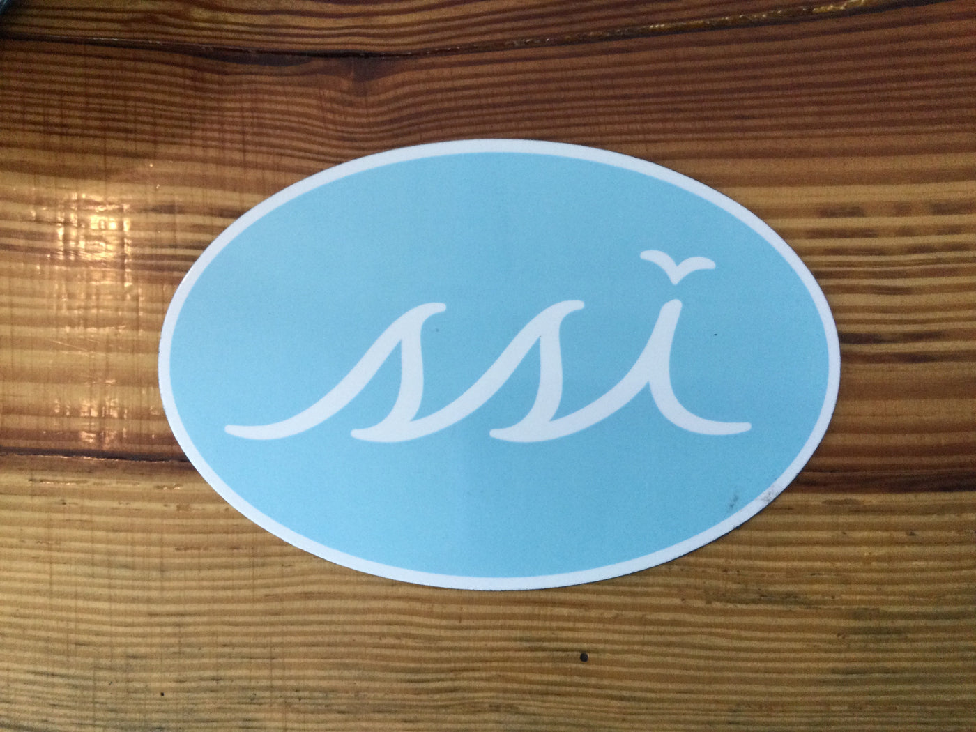 Light blue oval magnet