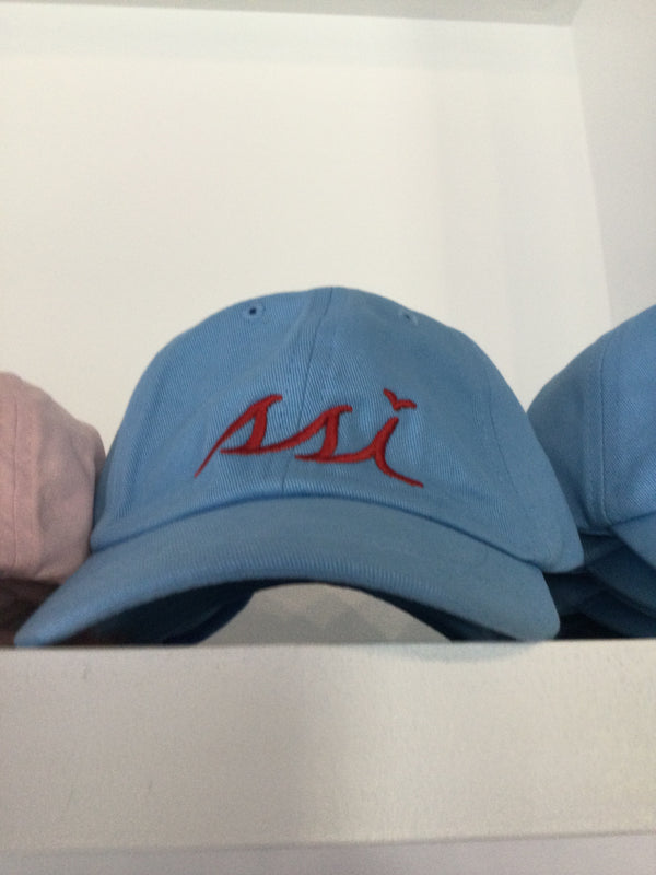 Baby Blue Toddler Hat / Red Logo/ Youth