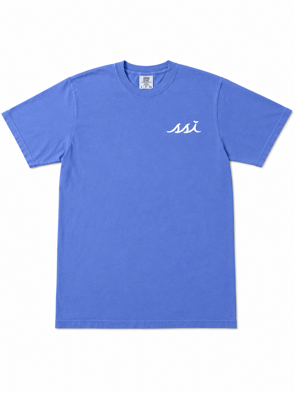 Comfort Colors Flo Blue St. Simons Tee — Georgia State Outline Back Print