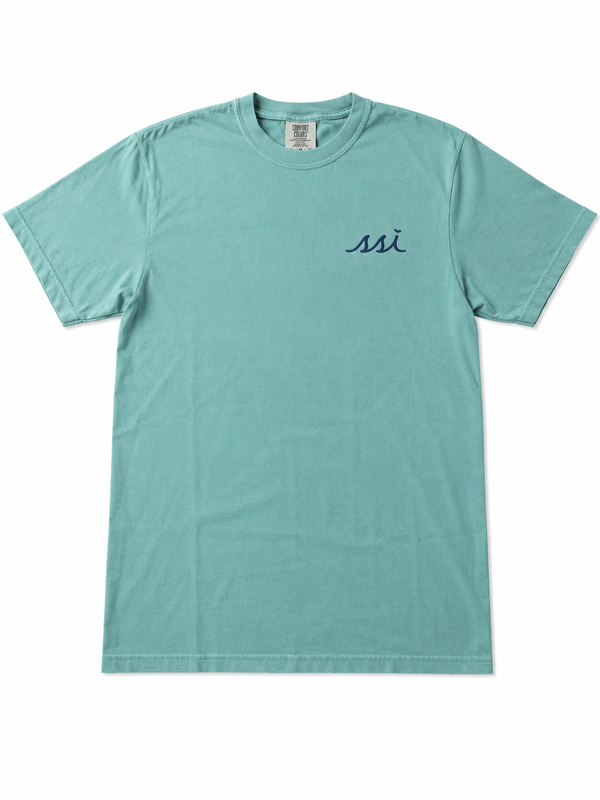 Comfort Colors Seafoam St. Simons Tee — Georgia State Outline Back Print