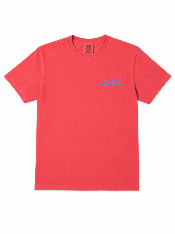 Comfort Colors Watermelon St. Simons Tee — Georgia State Outline Back Print
