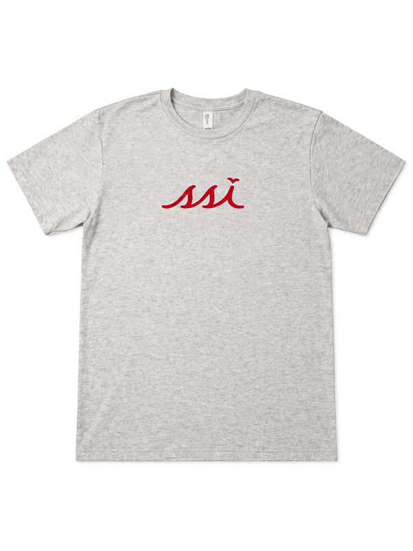"GA vs. FL" Beach Tee — Heather Gray SSI Artist Series