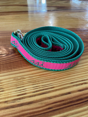 Dog Leash - Pink and Green
