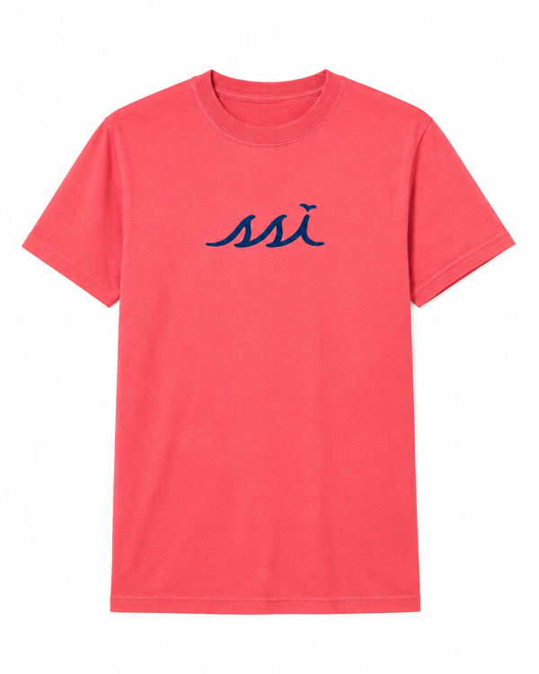 Comfort Colors 250th USA Anniversary Tee —Watermelon Garment-Dyed Short Sleeve