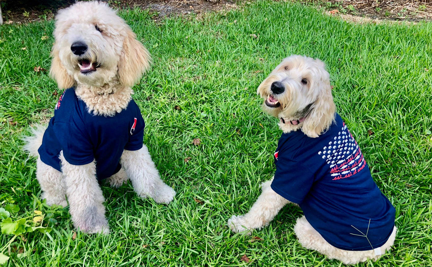Kids American Flag shirt