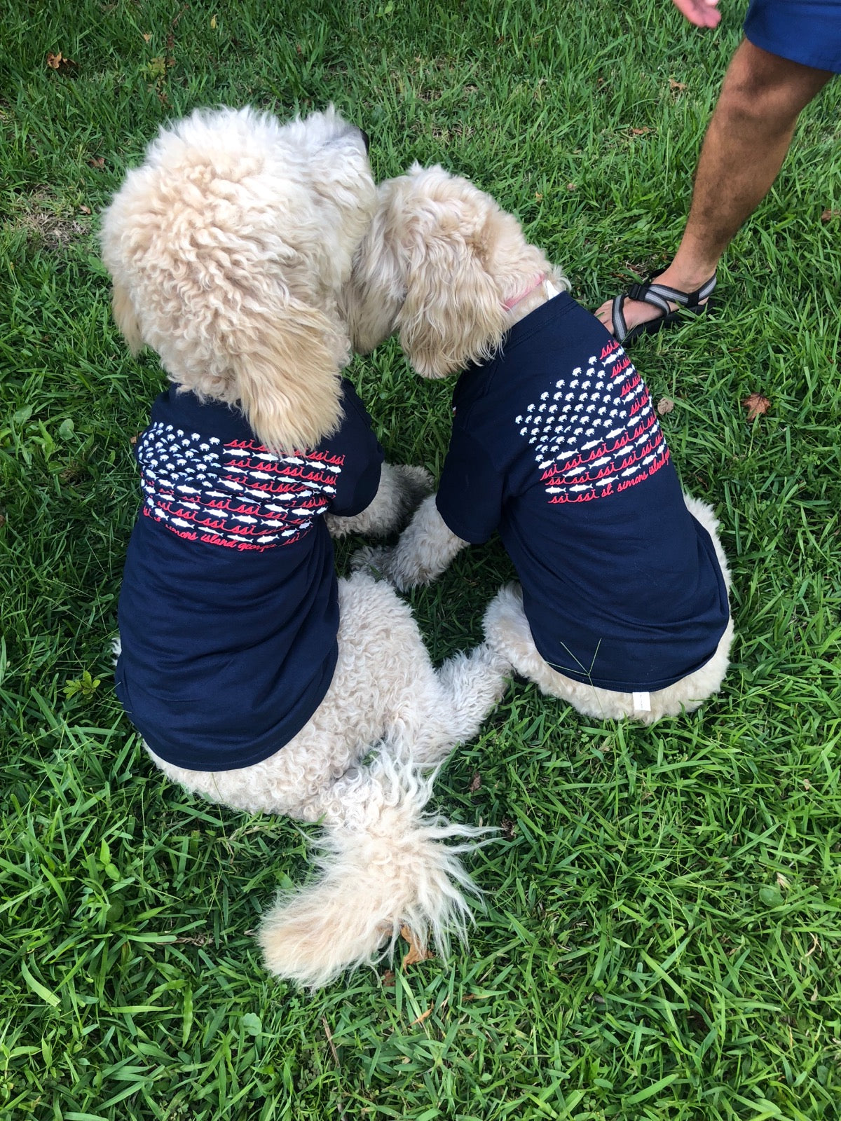 Kids American Flag shirt