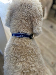 Dog Collar - Navy and White Adjustable