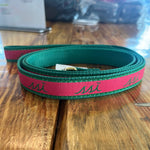 Dog Leash - Pink and Green
